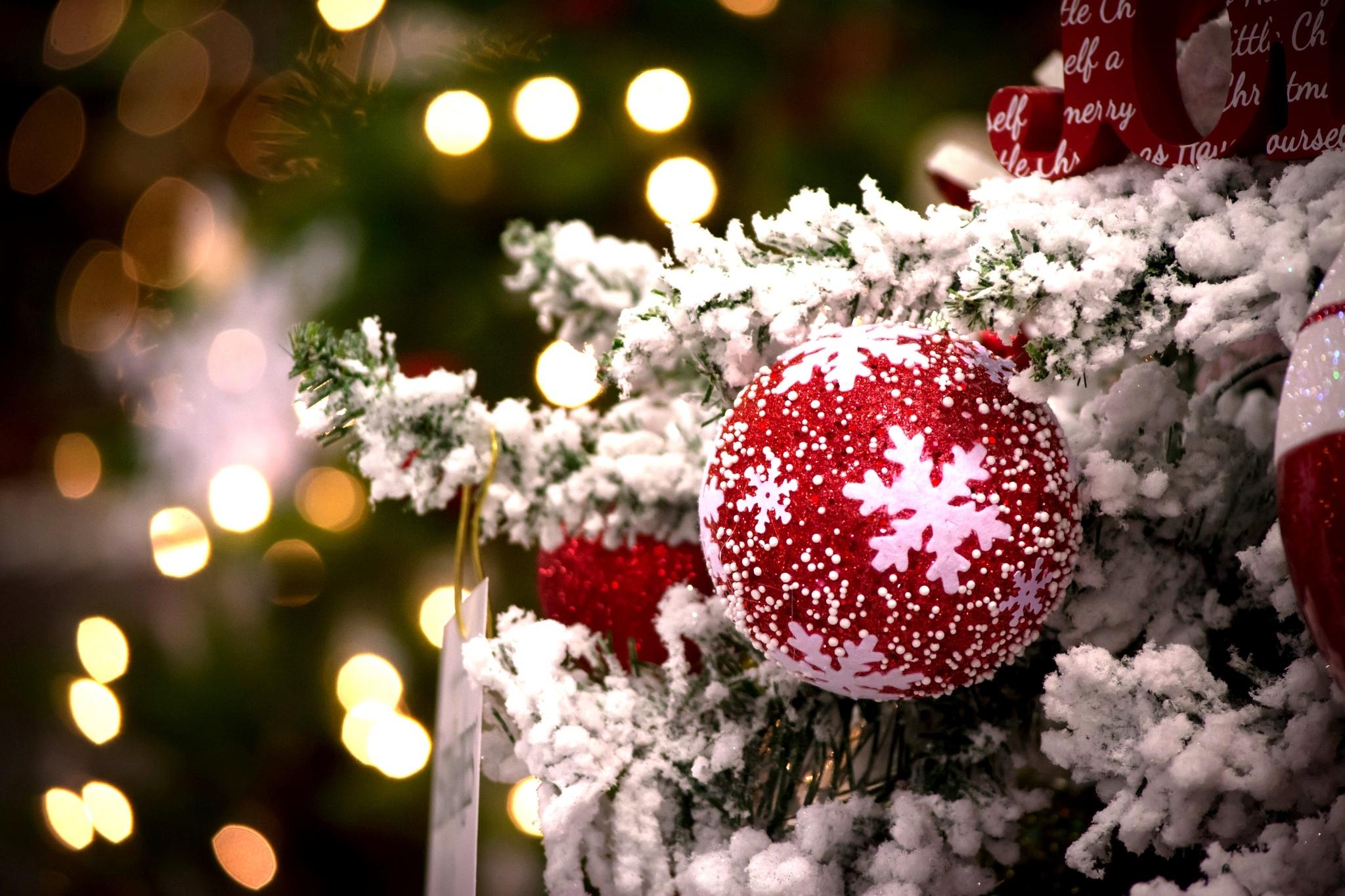 Скачать обои зима, красный, огни, игрушка, елка, шарик, Новый Год, Рождество,  раздел новый год в разрешении 2048x1365