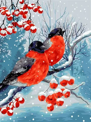 Картина по номерам снегири зима рябина 40х50 Wizardi 16235777 купить в  интернет-магазине Wildberries