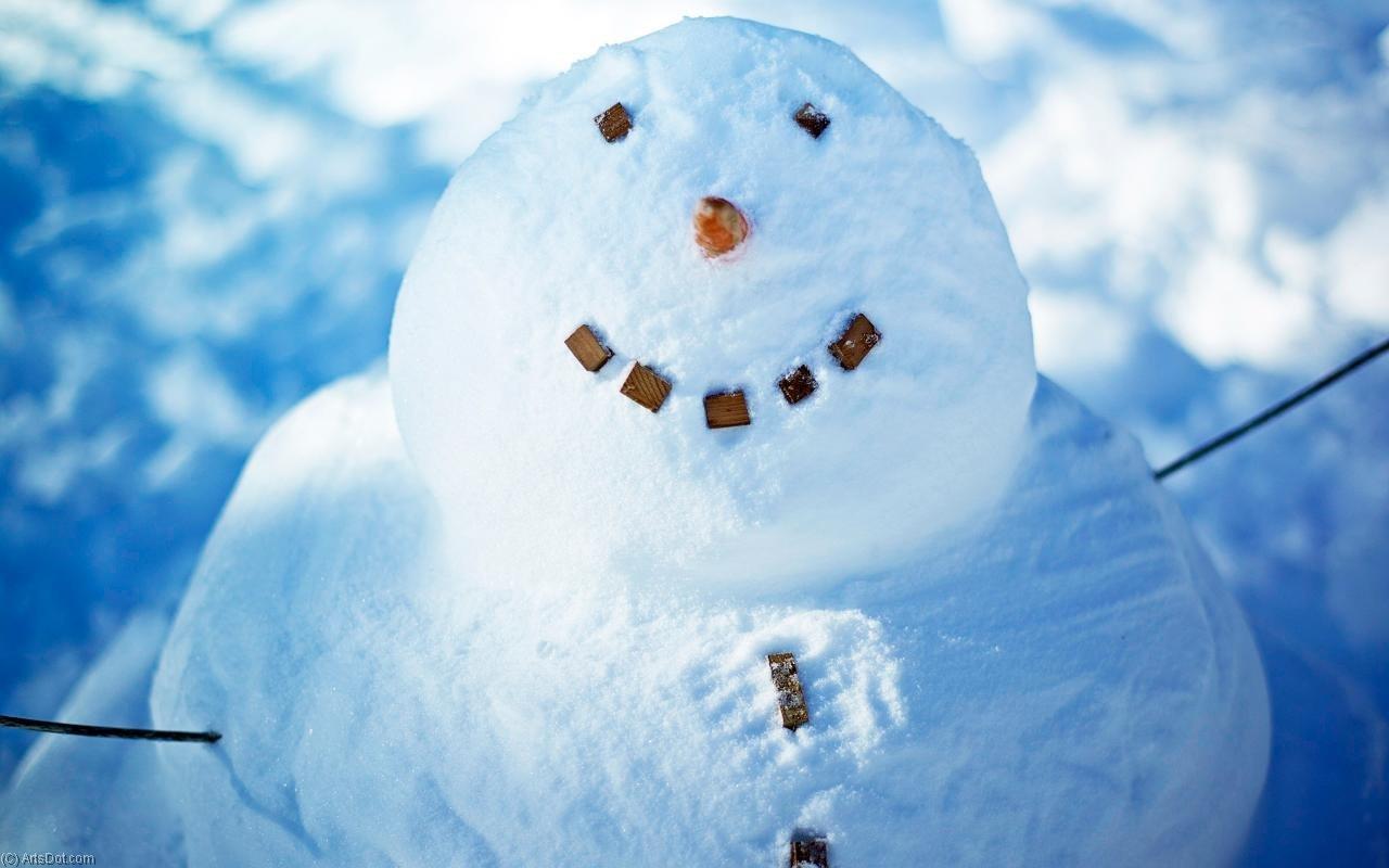 Какая зима без Снеговика...?!). Обсуждение на LiveInternet - Российский  Сервис Онлайн-Дневников