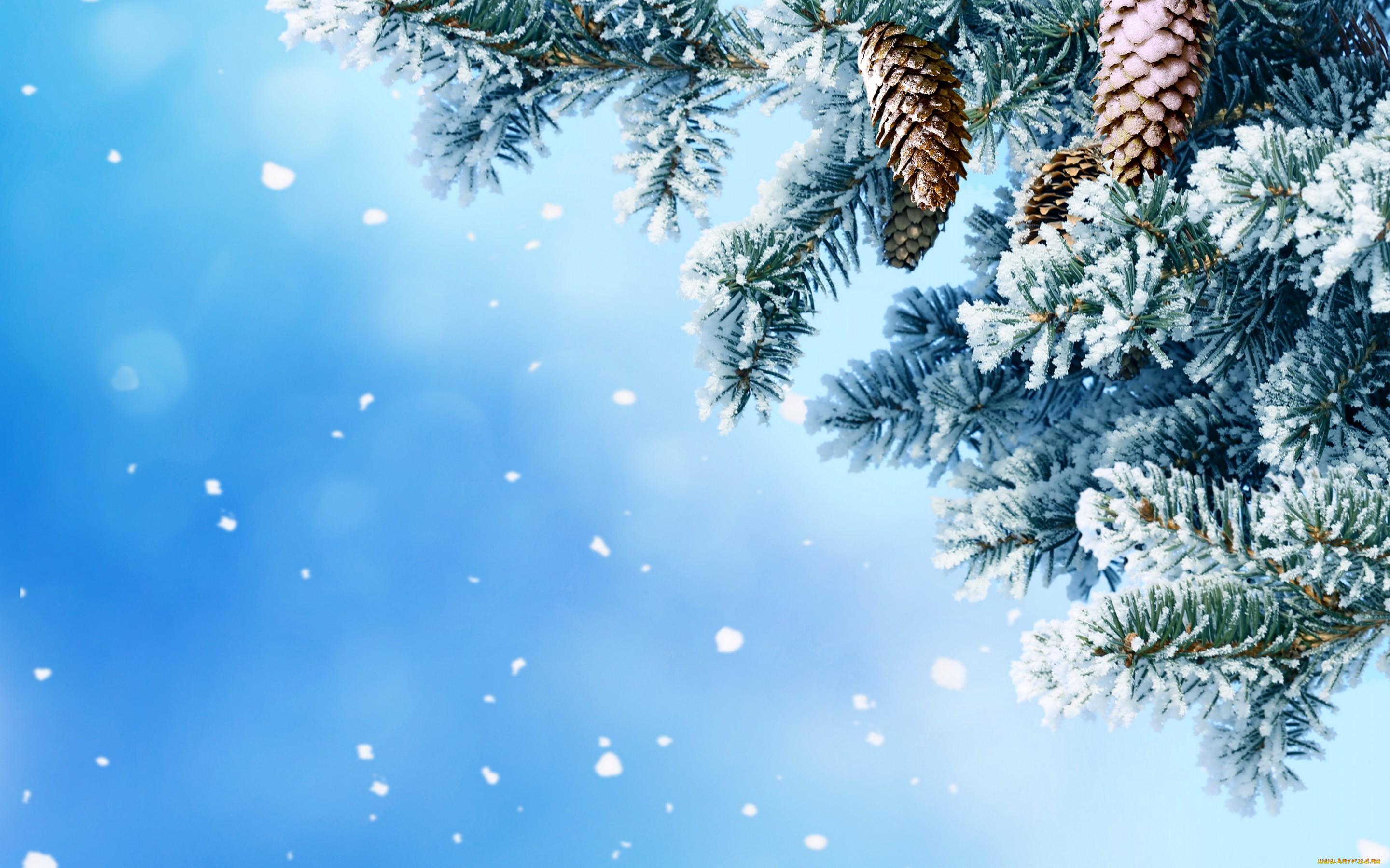 зима снежинки красивый фон, зима, фон, снежинка фон картинки и Фото для  бесплатной загрузки