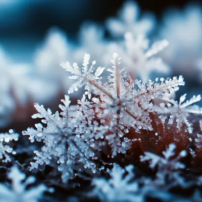 Красивая зима снежинки иллюстрация вектора. иллюстрации насчитывающей  красивейшее - 107194081