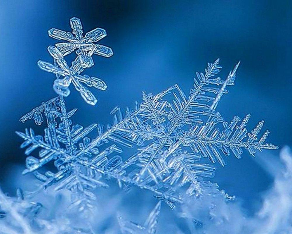 1 шт. синие Рождественские зимние снежинки стены зимние снежинки виниловые  художественные наклейки на окна рождественские подарки ### | AliExpress