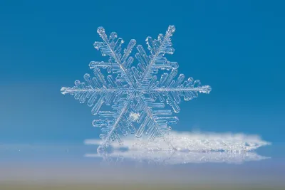 Завораживающие фотографии снежинок: зима – это прекрасно! - KP.RU