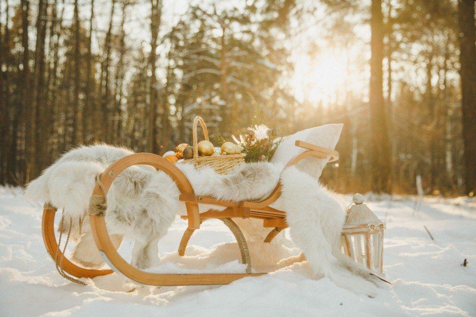 Обои пикник, зима, рождество, уют, настроение, лес, снег картинки на  рабочий стол, фото скачать бесплатно
