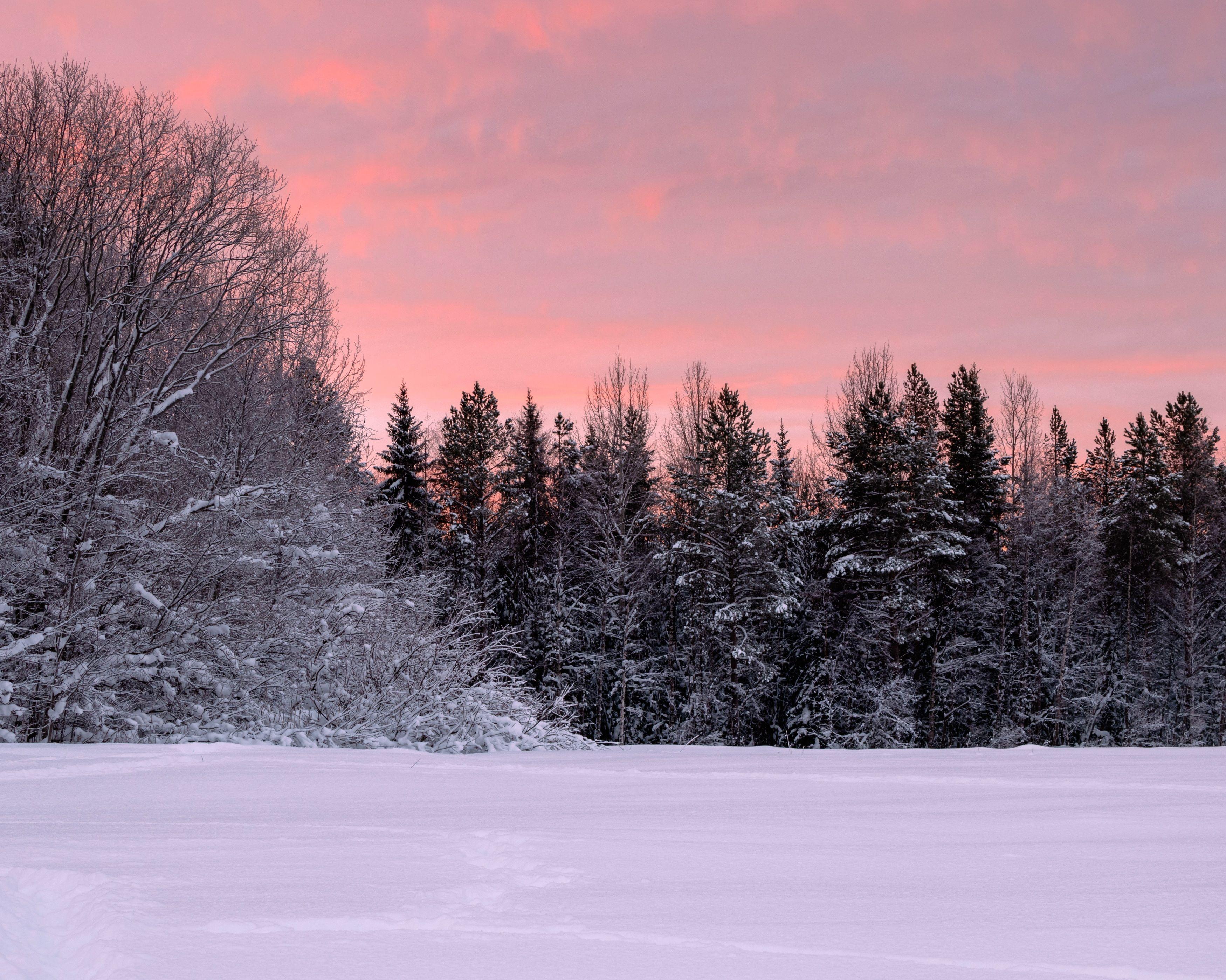 Зимнее утро зимний вечер (43 фото) - 43 фото