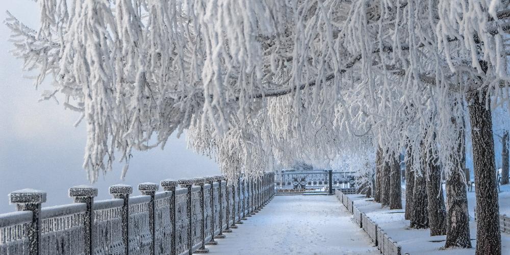 Зима в россии картинки фотографии