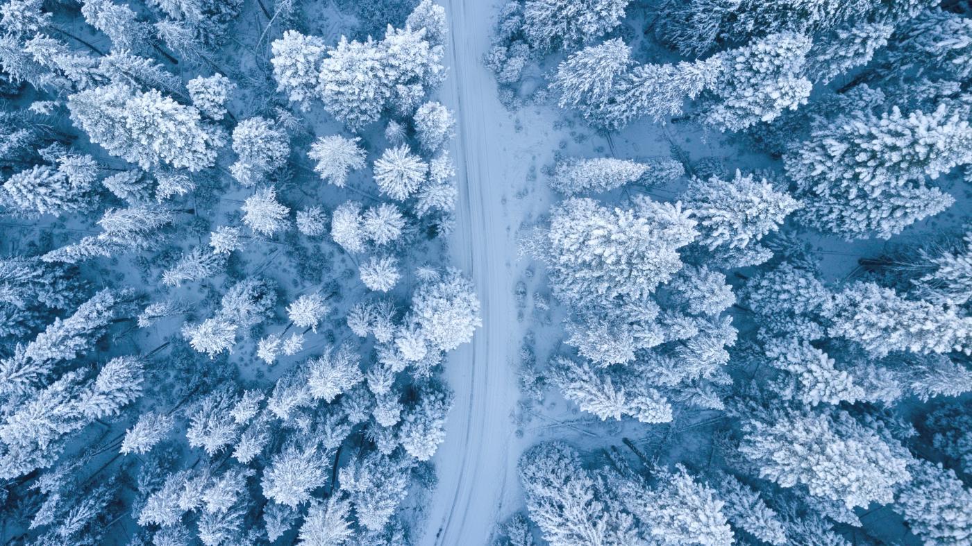 Куда съездить зимой в России: заснеженные красивые города и тёплые края,  горы и леса — Яндекс Путешествия