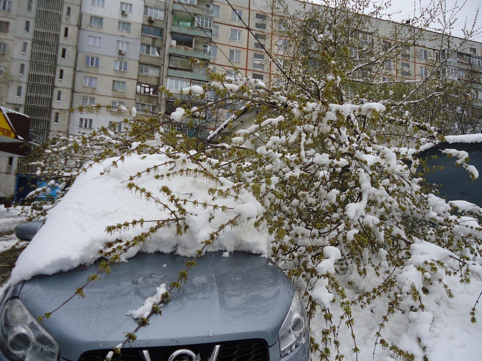 В Петербург вернулась зима, выпал снег - 27 марта 2023 - ФОНТАНКА.ру