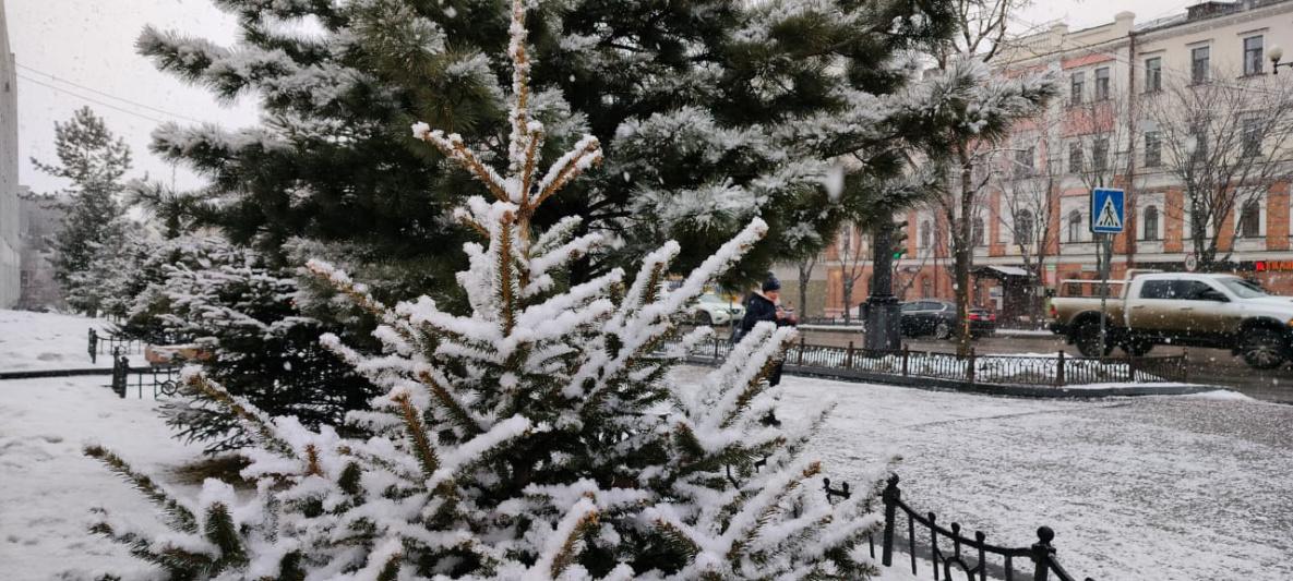 Зима вернулась? Из-за снегопадов в Беларуси объявлен оранжевый уровень  опасности