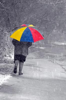 Evka56 - Первый зимний дождь 🌨🌧 . Так много потерь и для... | Facebook