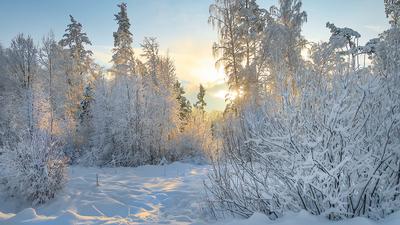 Нежный зимний рассвет. Photographer Anton Koshetarov