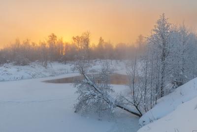 Зимний рассвет» картина Воли Александра маслом на холсте — купить на  ArtNow.ru