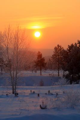 Зимний Рассвет: 2 тыс изображений найдено в Яндекс Картинках