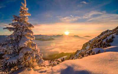 Красивый Зимний Рассвет В Горы Лес — стоковые фотографии и другие картинки  Без людей - Без людей, Белый, Величественный - iStock