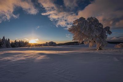 Зимний рассвет. Photographer Zakharov Armen