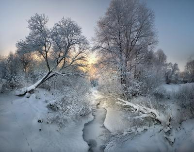 Фото тега зимний рассвет. 35photo.pro