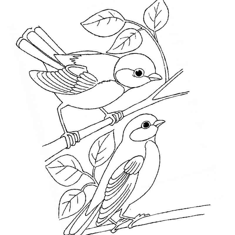 Раскраска Зимующие птицы для мальчиков и девочек высокого качества скачать  и распечатать