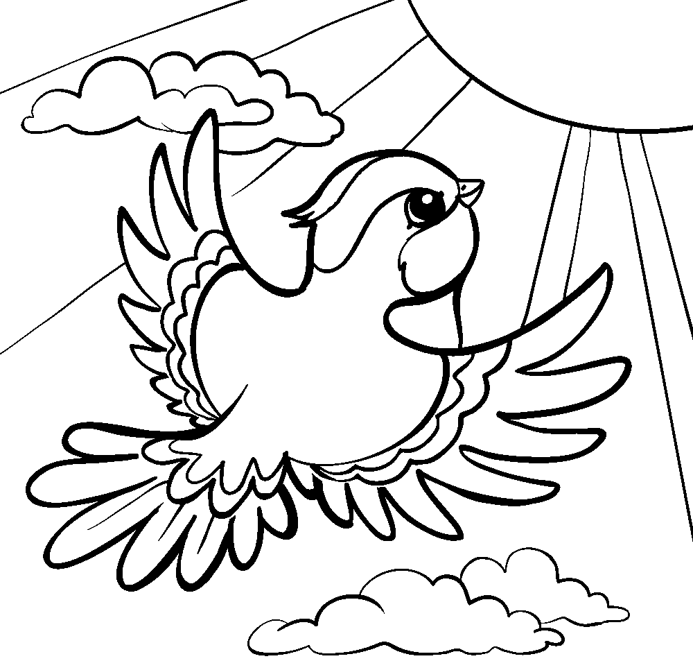 Раскраска Зимующие птицы для мальчиков и девочек высокого качества скачать  и распечатать