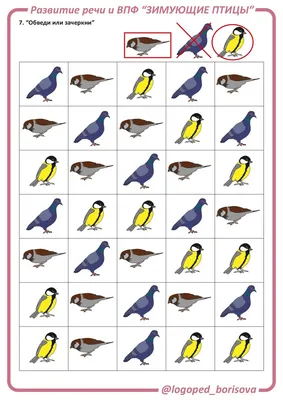 Зимующие птицы | Coloring books, Coloring book pages, Coloring pages