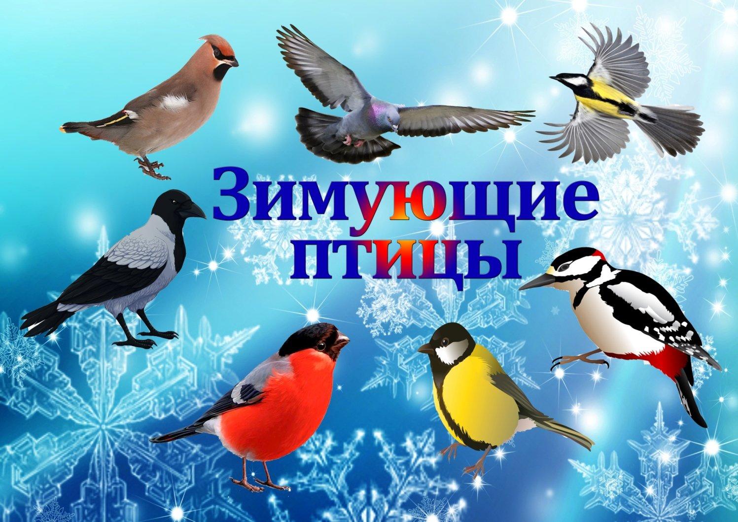 Рисунок Зимующие птицы №43845 - «Зимняя сказка» (16.02.2024 - 15:24)