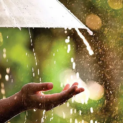 Автоматический зонт, большой усиленный Зонт с защитой от дождя, дождя,  солнца и УФ-лучей | AliExpress