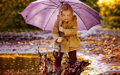Надежная защита от дождя – зонты Henry Backer! | Евродом | Дзен