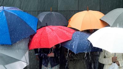 Купить Зонт-трость прозрачный/ Детский зонтик от дождя GALAXY- полуавтомат  складной за 629р. с доставкой