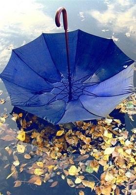 И Мелочь может быть приятной, как в Непогоду яркий... | Интересный контент  в группе Мир прекрасного (World of Beauty) | Зонты, Дождь, Осень