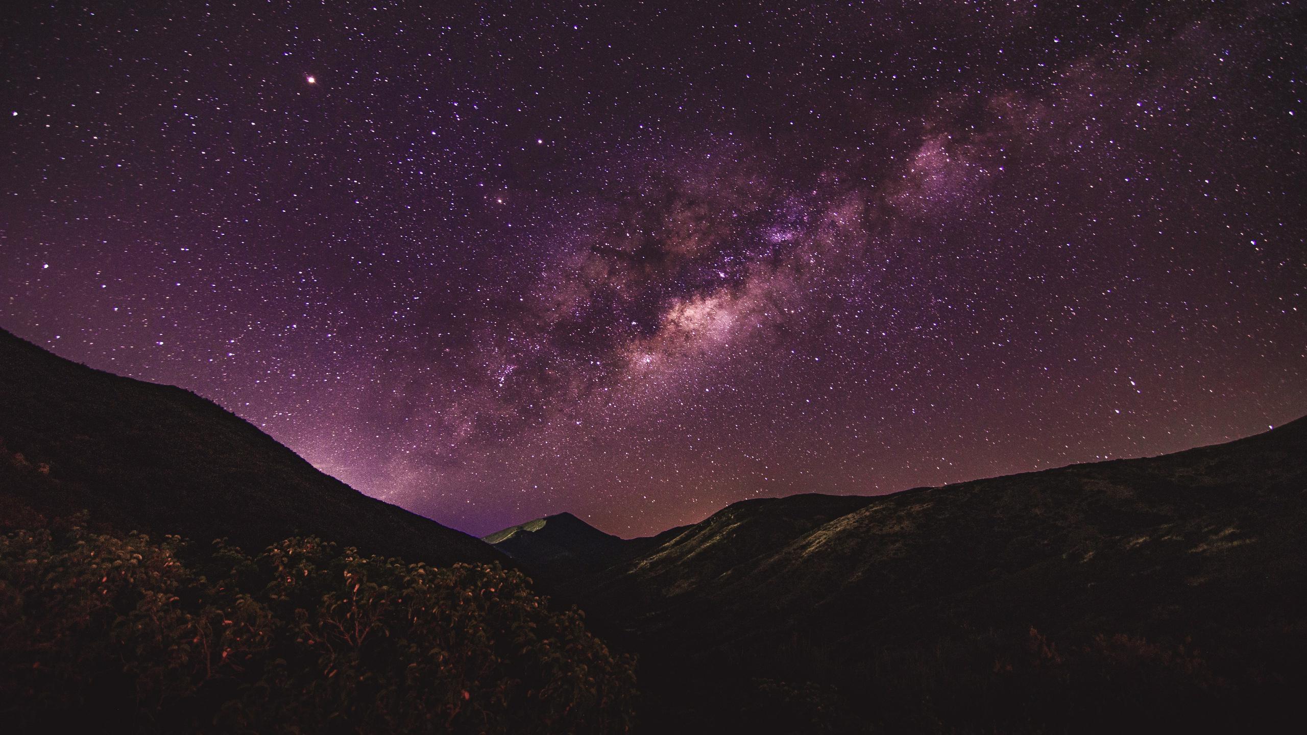 Ночной пейзаж: Звездное небо в HD качестве | Ночной пейзаж Фото №1381413  скачать