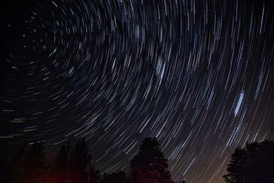Ночью в небе можно будет наблюдать звездный дождь - Delfi RU