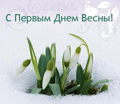 Официальный сайт администрации городского округа Семеновский - 1 марта -  первый день весны