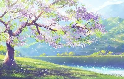 Аниме Весна (53 фото) | Scenery background, Anime scenery, Scenery wallpaper