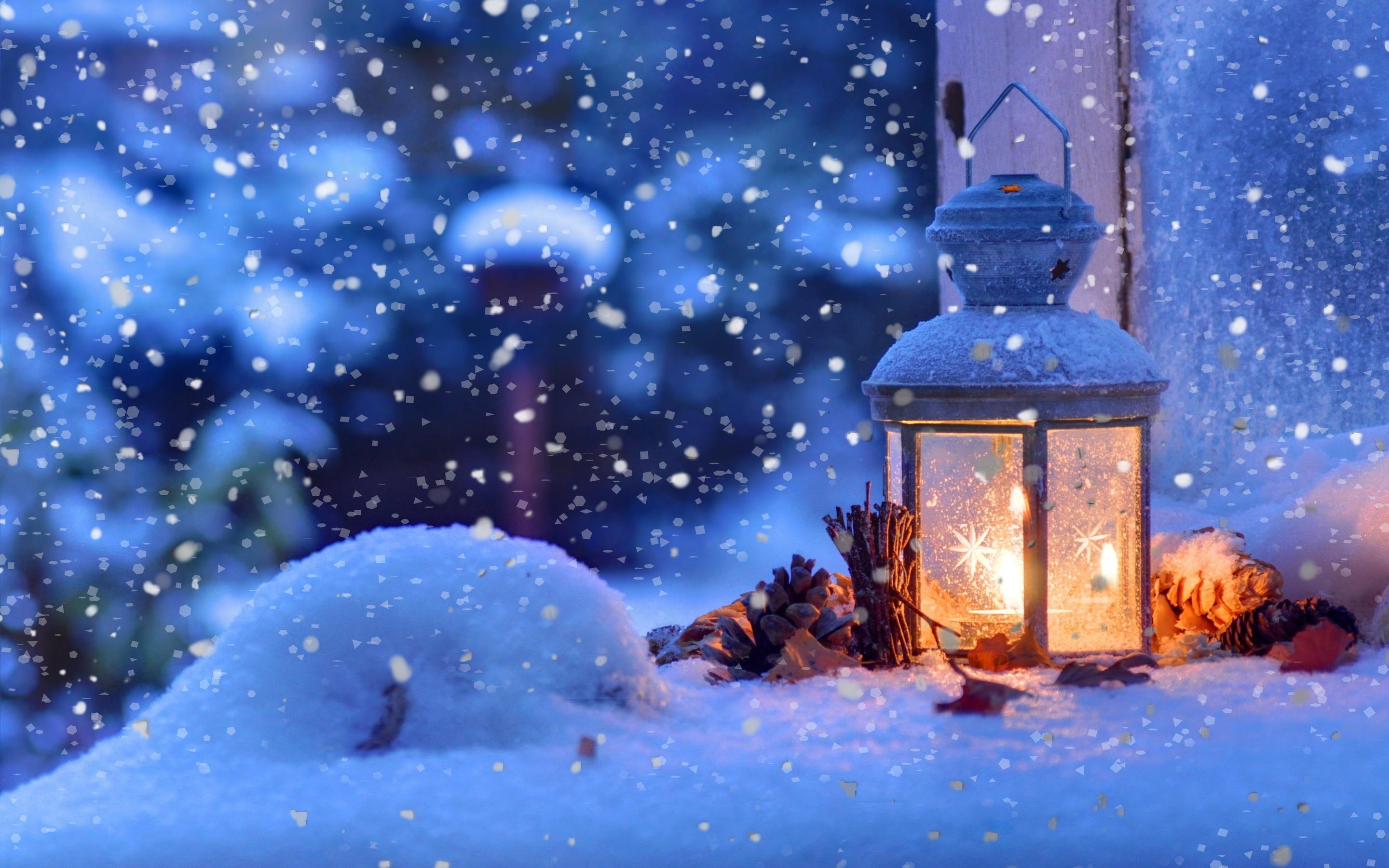 Зима Поле Снег - Бесплатное фото на Pixabay - Pixabay