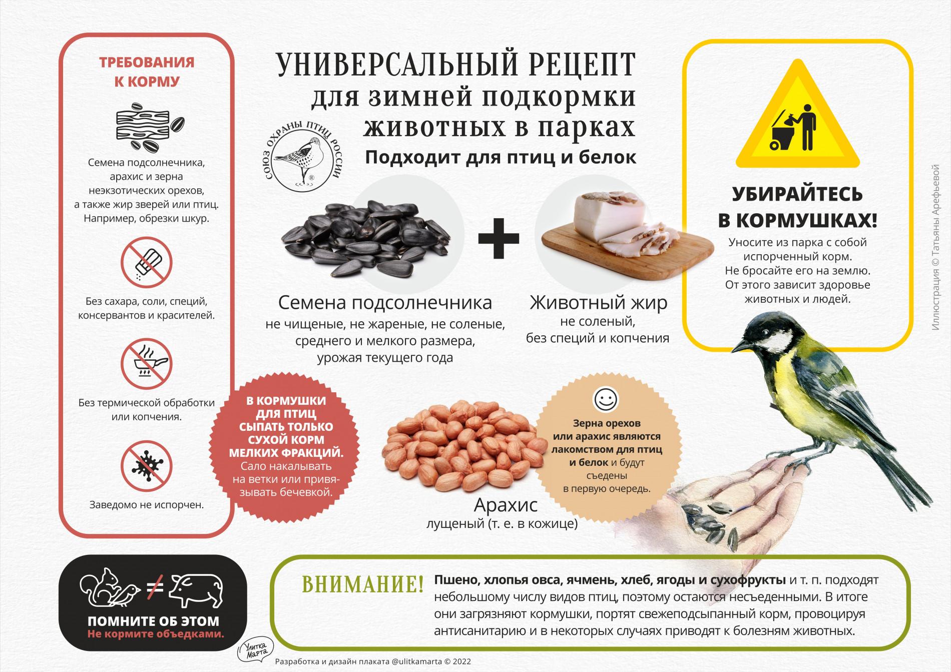 Как правильно кормить птиц зимой? Инфографика :: Это интересно! | Лэпбук,  Лэпбуки, Следы животных