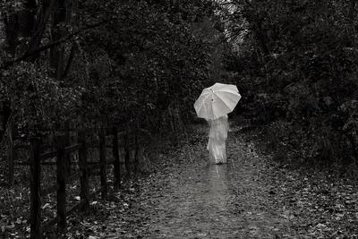 Осенний дождь, черно- белое …» — создано в Шедевруме