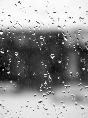 Дождь за стеклом чёрно-белый | Обои для телефона