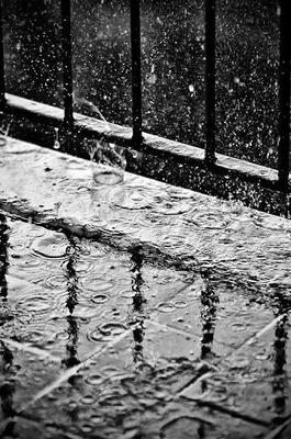 Черно белые картинки дождь