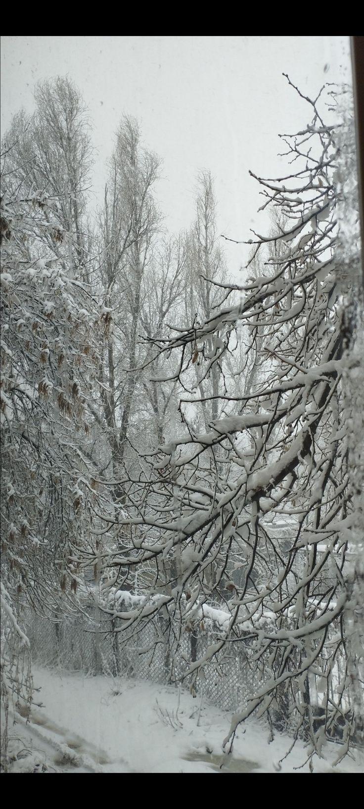 чудесная снежная украинская зима Стоковое Фото - изображение насчитывающей  зима, снежно: 122417908