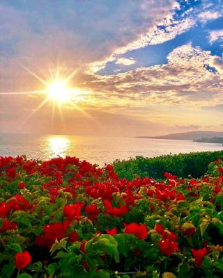 Доброе утро и рассвет на острове Закинтос Стоковое Фото - изображение  насчитывающей взгляд, темно: 160098920