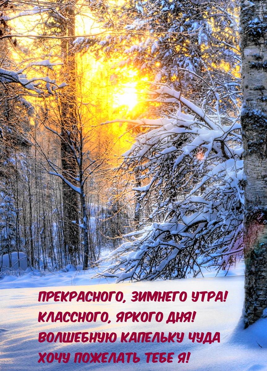 Картинки - с добрым зимним утром четверга ( 41 ФОТО)