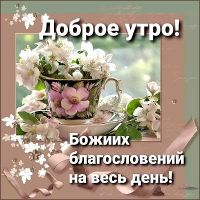 Доброе утро, как спалось? Сегодня суббота 11 Марта. Сегодня отмечается День  работника органов наркоконтроля России. 11 марта 1992 года… | Instagram