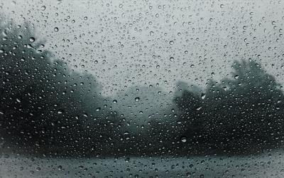 Слезы небесные капли дождя плачут на оконном стекле hd видео осень за окном  твоего дома тихая грусть | Премиум Фото