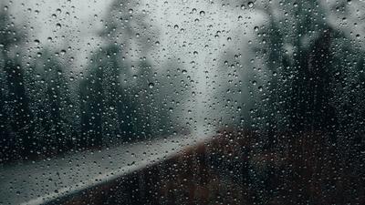 Дождь на стекле | Обои для iphone, Пейзажи, Обои