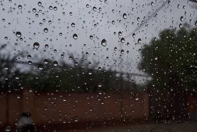 Кратковременный дождь и тепло: что ожидает жителей региона в последний  понедельник весны — ИА «Версия-Саратов»