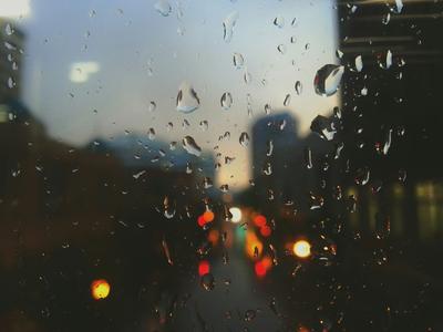 Дождь: истории из жизни, советы, новости, юмор и картинки — Все посты |  Пикабу