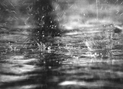 картинки : воды, падение, дождь, лист, окно, влажный, в одиночестве, Грусть,  Осень, Погода, грустный, одиночество, Горе, Депрессия, Замораживание,  Укрытие, Дождь со снегом смешанный 6000x4000 - - 562967 - красивые картинки  - PxHere