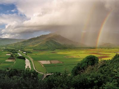 Картинки летний дождь с радугой (69 фото) » Картинки и статусы про  окружающий мир вокруг