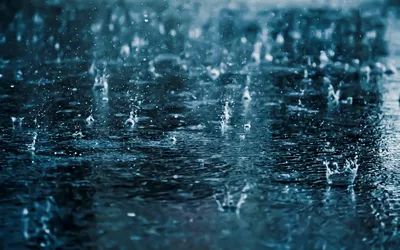 Дождь | Проза и поэзия со смыслом | Дзен