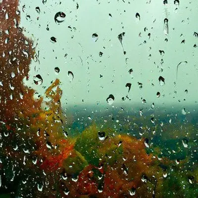 Красивое изображение дождливого окна для айфон | Окна с дождем Фото  №1363328 скачать