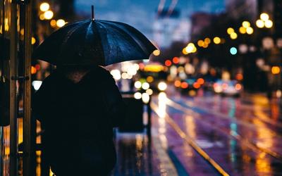 Дождь, красивая улица города, деревья…» — создано в Шедевруме